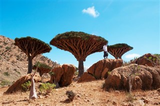 Yemen hava tahmini