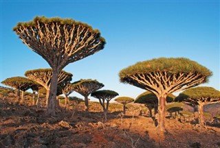 Yemen vejrudsigt