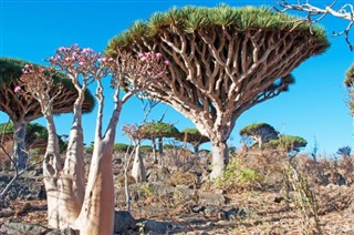 Yemen Hava tahmini