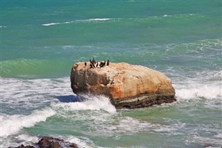 Yemen hava tahmini