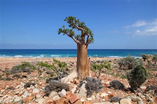 Yemen hava tahmini