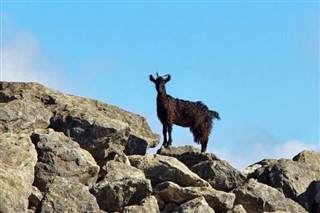 Yemen hava tahmini