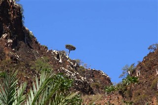 Yemen vejrudsigt