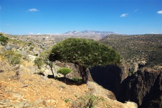 Yemen hava tahmini