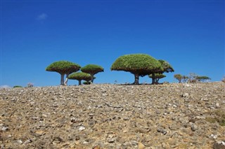Yemen Hava tahmini