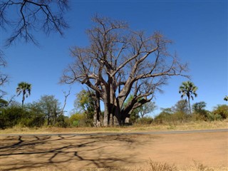 Zambia vejrudsigt