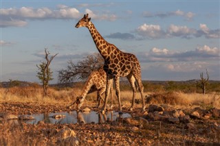 Zambia vejrudsigt
