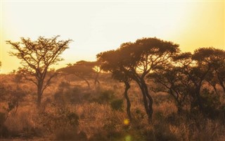 Zambia vejrudsigt