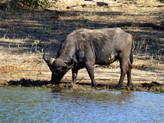 Zambia vejrudsigt