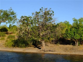 Zambiya hava tahmini