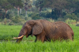 Zambia previsioni del tempo