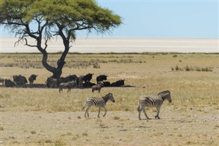 Zambia vejrudsigt
