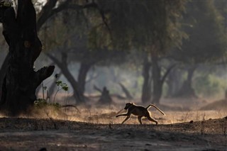 Zimbabwe prévisions météorologiques
