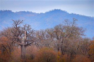 Zimbabue pronóstico del tiempo