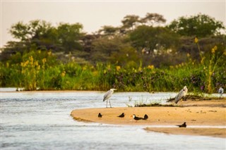 Zimbabve hava tahmini