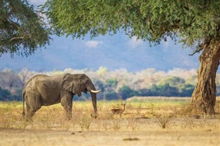 Zimbabve vremenska prognoza