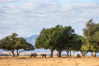 Zimbabve hava tahmini