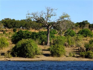 Zimbabve hava tahmini