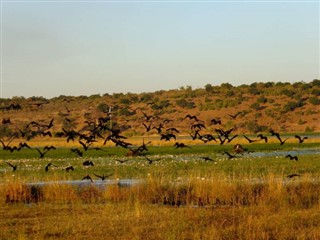 Zimbabve hava tahmini