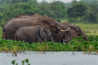 Zimbabve hava tahmini