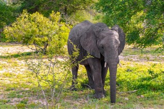 Zimbabve hava tahmini