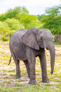 Zimbabve Hava tahmini