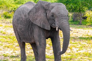 Zimbabve hava tahmini