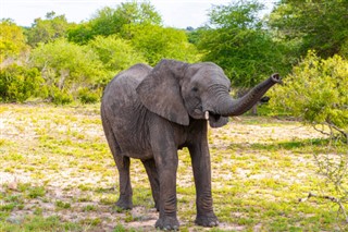 Zimbabve Hava tahmini