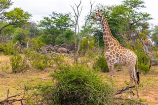 Zimbabve Hava tahmini