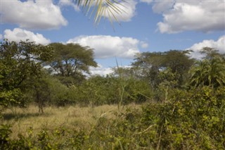 Zimbabve hava tahmini