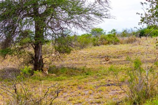 Zimbabwe prévisions météorologiques