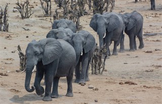 Zimbabwe vejrudsigt