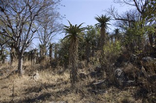 Zimbabwe vejrudsigt