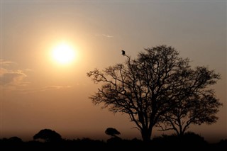 Zimbabwe vejrudsigt