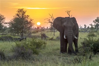 Zimbabve hava tahmini