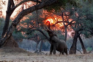 Zimbabwe vejrudsigt