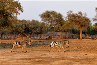 Zimbabve hava tahmini