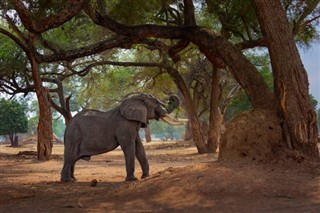 Zimbabve hava tahmini