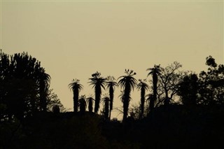 Zimbabve hava tahmini