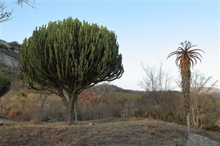 Zimbabve hava tahmini