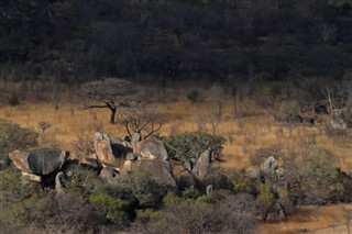 Zimbabwe prévisions météorologiques