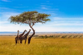 Zimbabve hava tahmini